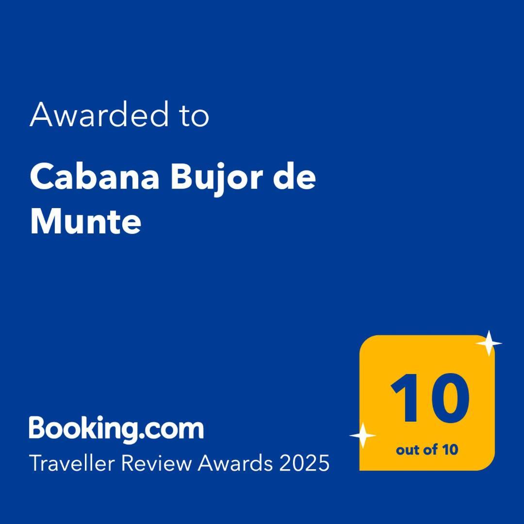 Cabana Bujor De Munte Rîşnov Eksteriør bilde
